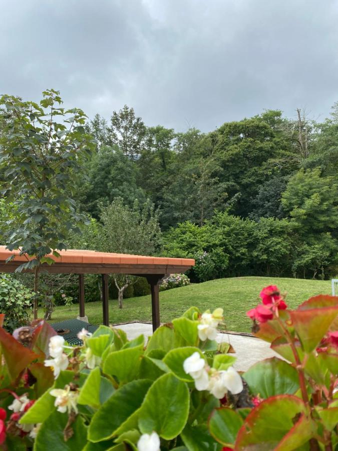 2 Apartamentos En Villa Con Piscina Privada En Asturias El Marquesau Noriega Exterior foto